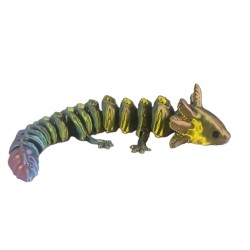 segmentowany aksolotl