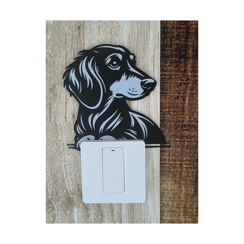 Czarno biały pies - Jamnik