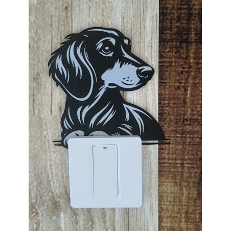 Czarno biały pies - Jamnik